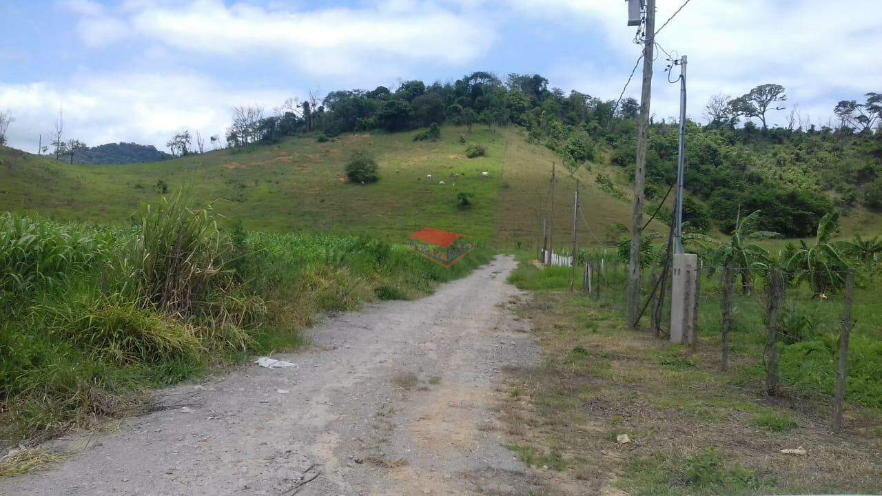 Chácara à venda com 1 quarto, 1000m² - Foto 7